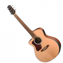 WALDEN G 550 RCEL (N)